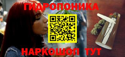 PSILOCYBIN Кунгур