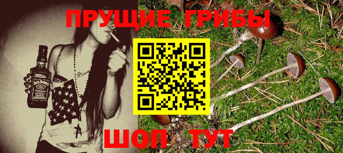 Галлюциногенные грибы Cubensis Каменск-Уральский