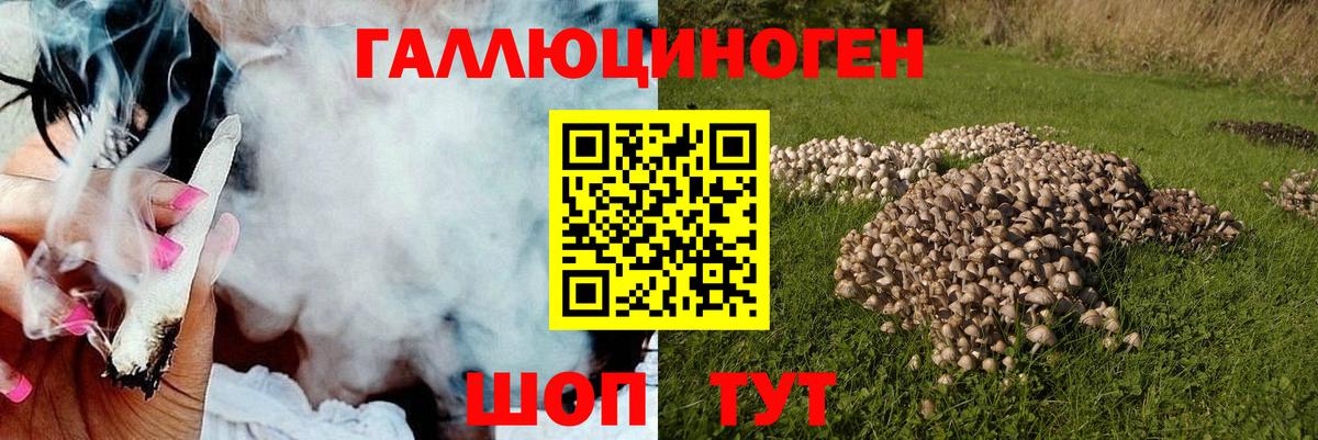 Галлюциногенные грибы мицелий  Галлюциногенные грибы Psilocybine cubensis  Каменск-Уральский  Вход с VPN 